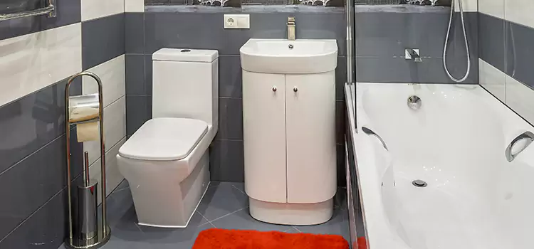 Hansgrohe Shaving Mirror North Royalton